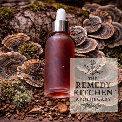 BodyMend™ SIMPLY Turkey Tail Mushroom Herbal Tincture Oncology Support – Triple Extracted (90-Day Dual + Ultra Concentrated Extract Infusion), Organic 1:3 Potency