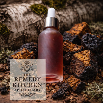 BodyMend™ SIMPLY Chaga Mushroom Herbal Tincture – 90+ Day Vodka Maceration, Full Spectrum & Alcohol-Based