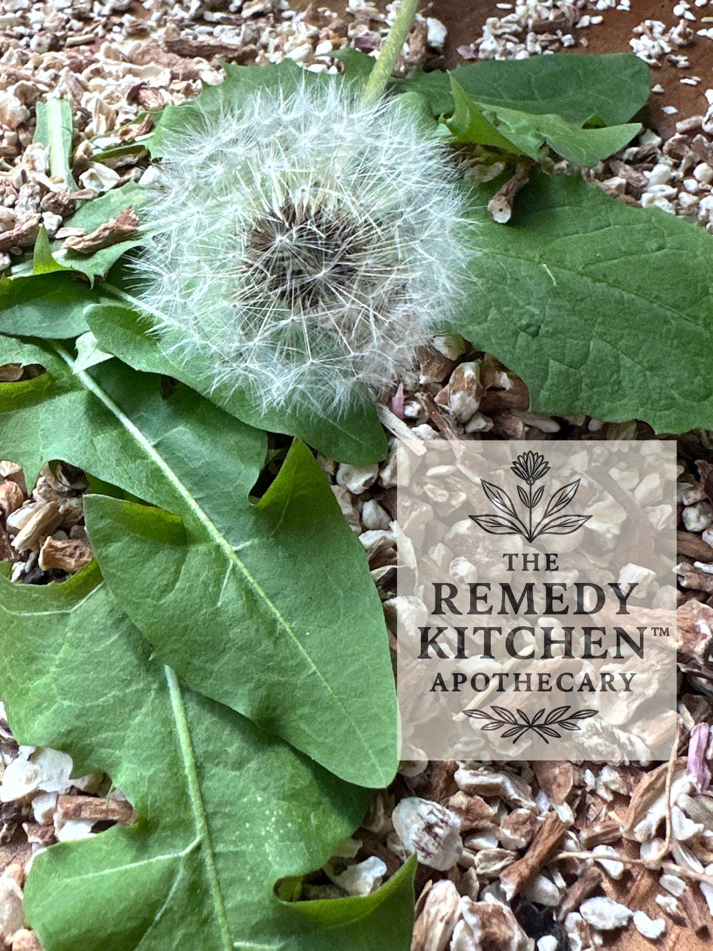 The Remedy Kitchen Apothecary Tincture Bottle Dandelion Simply DANDY